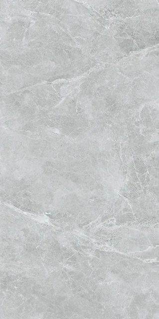 Swan Grey, фото 2