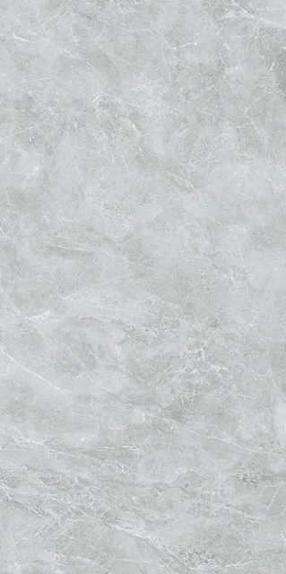 Swan Grey, фото 3