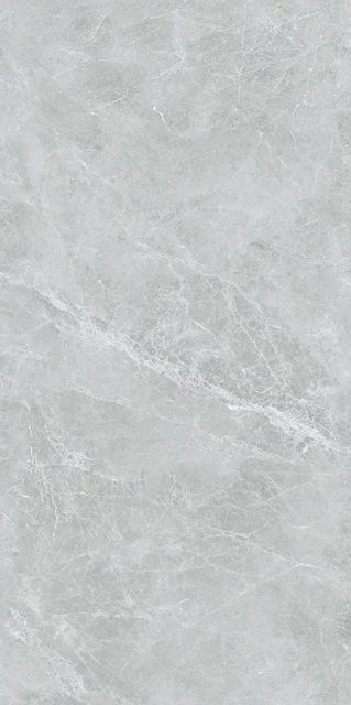 Swan Grey, фото 4