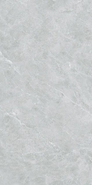 Swan Grey, фото 5