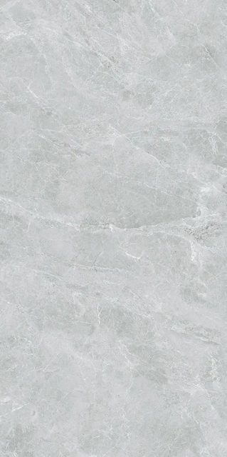 Swan Grey, фото 6