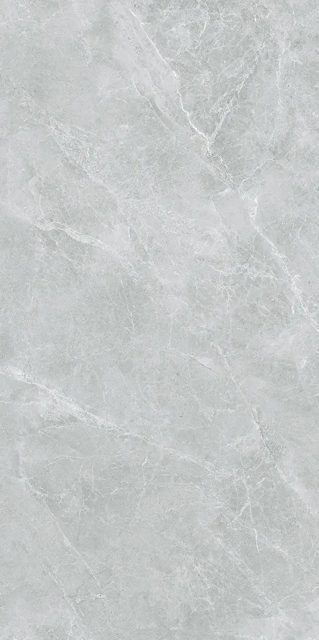 Swan Grey