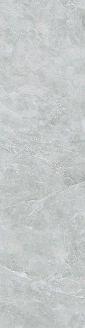 Swan Grey