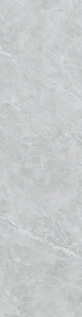 Swan Grey, фото 6