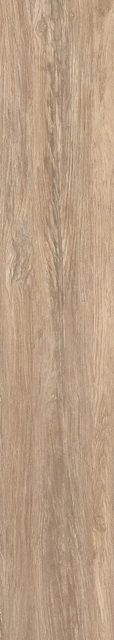 Taiga Teak