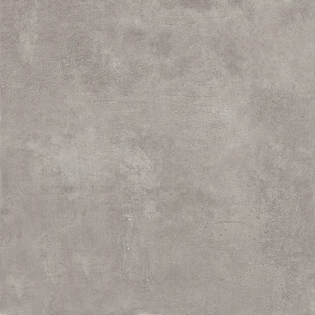 Tortuga Grey