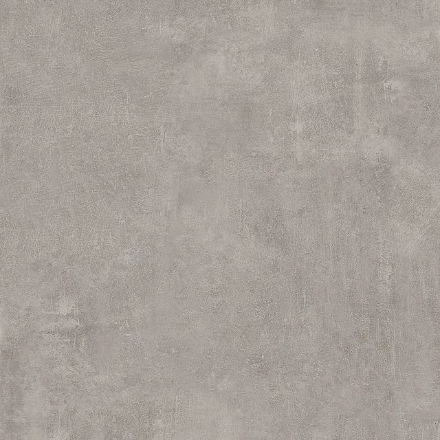 Tortuga Grey, фото 3